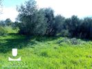 Land plot 261sqm for sale-Anavissos » Anavyssos Center