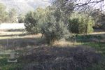 Land plot 396sqm for sale-Kalivia Thorikou » Lagonisi