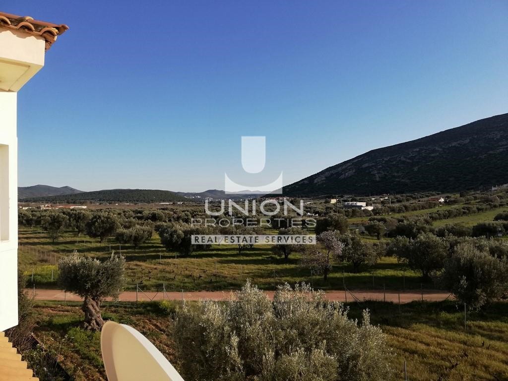 Μονοκατοικία 150 τ.μ. προς πώληση, Λαγονήσι