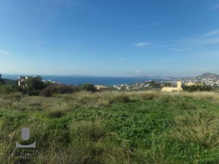 Οικόπεδο 4.800 τ.μ. προς πώληση