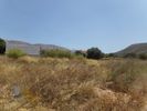 Land plot 6.000sqm for rent-Kalivia Thorikou » Lagonisi