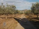 Land plot 25.000sqm for sale-Palaia Fokaia » Κέντρο