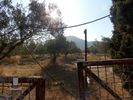 Land plot 35.000sqm for sale-Palaia Fokaia » Κέντρο