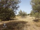 Land plot 2.900sqm for rent-Kalivia Thorikou » Lagonisi