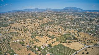 Αγροτεμάχια 10.837 τ.μ. για πώληση, Αργολίδα, Κρανίδι-thumb-16