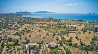 Αγροτεμάχια 10.837 τ.μ. για πώληση, Αργολίδα, Κρανίδι-thumb-19