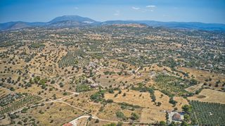 Αγροτεμάχια 10.837 τ.μ. για πώληση, Αργολίδα, Κρανίδι-thumb-12
