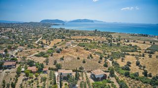 Αγροτεμάχια 10.837 τ.μ. για πώληση, Αργολίδα, Κρανίδι-thumb-3