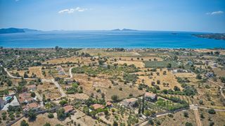 Αγροτεμάχια 10.837 τ.μ. για πώληση, Αργολίδα, Κρανίδι-thumb-22