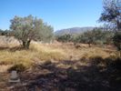 Land plot 800sqm for sale-Koropi » Center