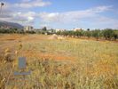 Land plot 2.000sqm for sale-Vari - Varkiza » Varkiza