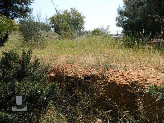 Οικόπεδο 4.000 τ.μ. για ενοικίαση, Αθήνα - Νότια Προάστια, Βάρη- Βάρκιζα