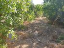 Land plot 450sqm for sale-Vari - Varkiza » Miladeza