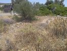 Land plot 252sqm for sale-Kalivia Thorikou » Lagonisi