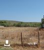 Land plot 200sqm for sale-Kalivia Thorikou » Lagonisi