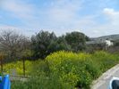 Land plot 500sqm for sale-Vari - Varkiza » Asirmatos Alianthou