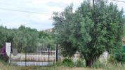 Land plot 445sqm for sale-Kalivia Thorikou » Lagonisi