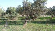 Land plot 1.583,6sqm for sale-Kalivia Thorikou » Lagonisi