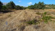 Land plot 2.250sqm for sale-Anavissos » Mavro Lithari