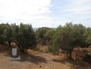 Land plot 670sqm for sale-Kalivia Thorikou » Lagonisi