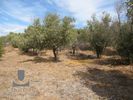 Land plot 1.340sqm for sale-Kalivia Thorikou » Lagonisi