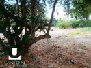 Land plot 255sqm for sale-Palaia Fokaia » Κέντρο