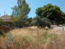 Land plot 560sqm for sale-Anavissos » Mavro Lithari