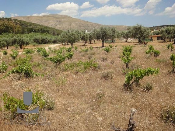 Οικόπεδο 4.050 τ.μ. για πώληση, Αττική - Υπόλοιπο, Παλαιά Φώκαια