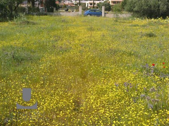 Οικόπεδο 815 τ.μ. για πώληση, Αττική - Υπόλοιπο, Παλαιά Φώκαια