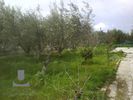 Land plot 1.050sqm for sale-Kalivia Thorikou » Lagonisi