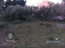 Land plot 302,29sqm for sale-Anavissos » Mavro Lithari