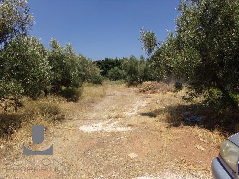 Οικόπεδο 906,88 τ.μ. προς πώληση, Μαύρο Λιθάρι