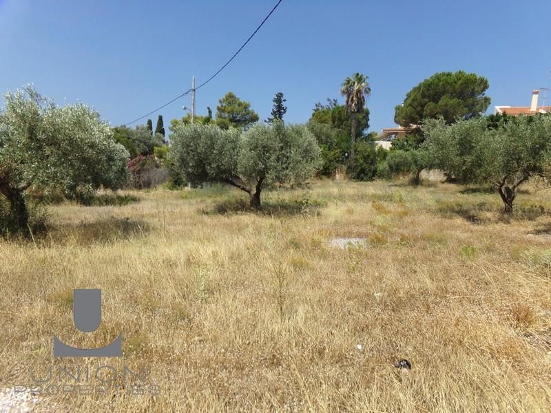 Οικόπεδο 906,88 τ.μ. προς πώληση, Μαύρο Λιθάρι