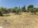 Land plot 906,88sqm for sale-Anavissos » Mavro Lithari