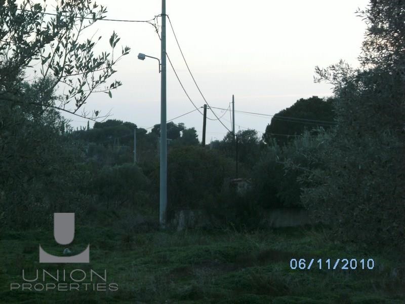 Οικόπεδο 906,88 τ.μ. προς πώληση, Μαύρο Λιθάρι