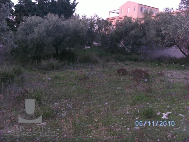 Οικόπεδο 906,88 τ.μ. προς πώληση, Μαύρο Λιθάρι