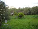 Land plot 1.447,82sqm for sale-Kalivia Thorikou » Lagonisi