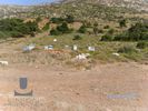 Land plot 4.195,92sqm for sale-Kalivia Thorikou » Lagonisi