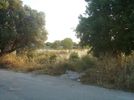 Land plot 4.500sqm for sale-Palaia Fokaia » Κέντρο