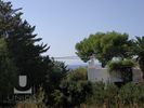 Land plot 610sqm for sale-Anavissos » Agios Nikolaos