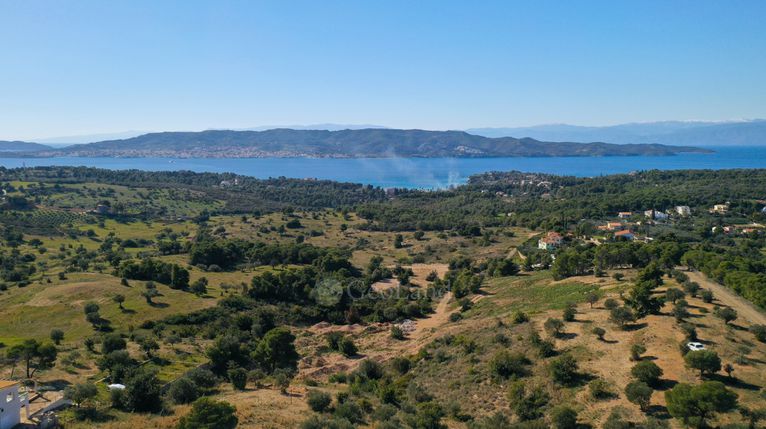 Αγροτεμάχια 20.000 τ.μ. για πώληση, Αργολίδα, Κρανίδι