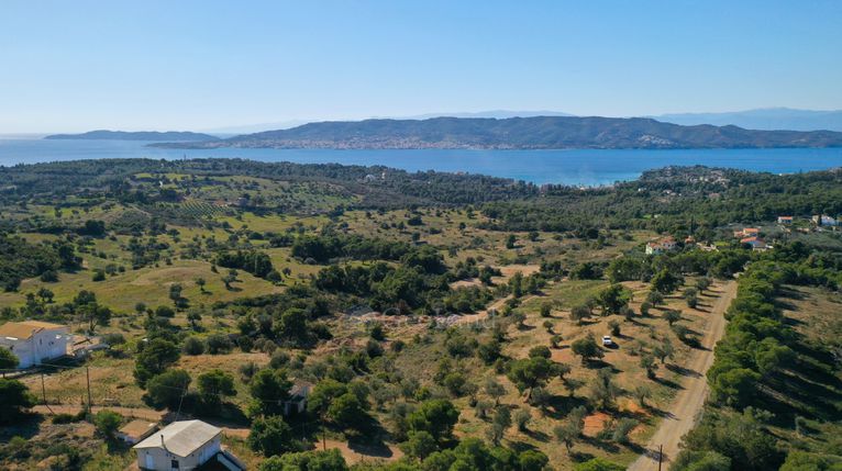 Αγροτεμάχια 4.000 τ.μ. για πώληση, Αργολίδα, Κρανίδι
