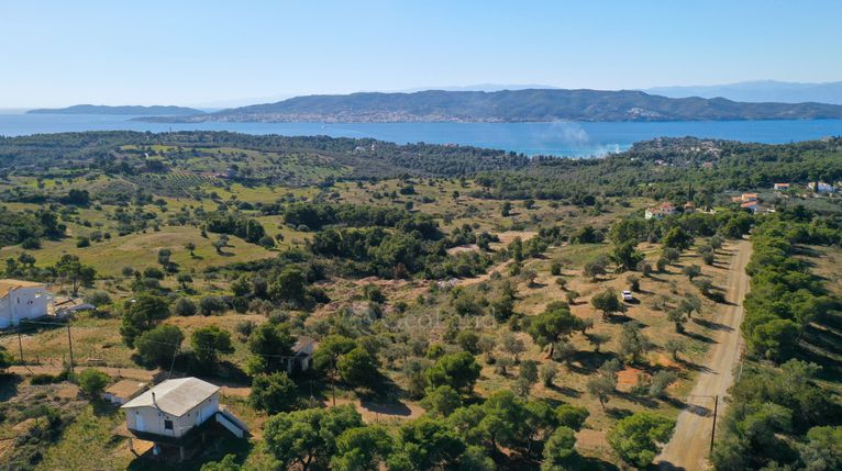 Αγροτεμάχια 4.000 τ.μ. για πώληση, Αργολίδα, Κρανίδι