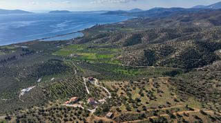 Αγροτεμάχια 48.240 τ.μ. προς πώληση, Αργολίδα, Ερμιόνη-thumb-5