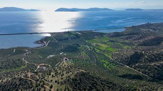 Αγροτεμάχια 48.240 τ.μ. προς πώληση, Αργολίδα, Ερμιόνη-thumb-3