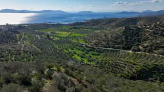 Αγροτεμάχια 48.240 τ.μ. προς πώληση, Αργολίδα, Ερμιόνη-thumb-9