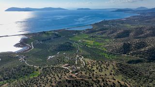Αγροτεμάχια 48.240 τ.μ. για πώληση