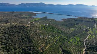 Αγροτεμάχια 48.240 τ.μ. προς πώληση, Αργολίδα, Ερμιόνη-thumb-4