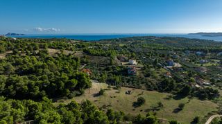 Αγροτεμάχια 2.000 τ.μ. για πώληση, Αργολίδα, Κρανίδι-thumb-13