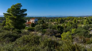 Αγροτεμάχια 2.000 τ.μ. για πώληση, Αργολίδα, Κρανίδι-thumb-16